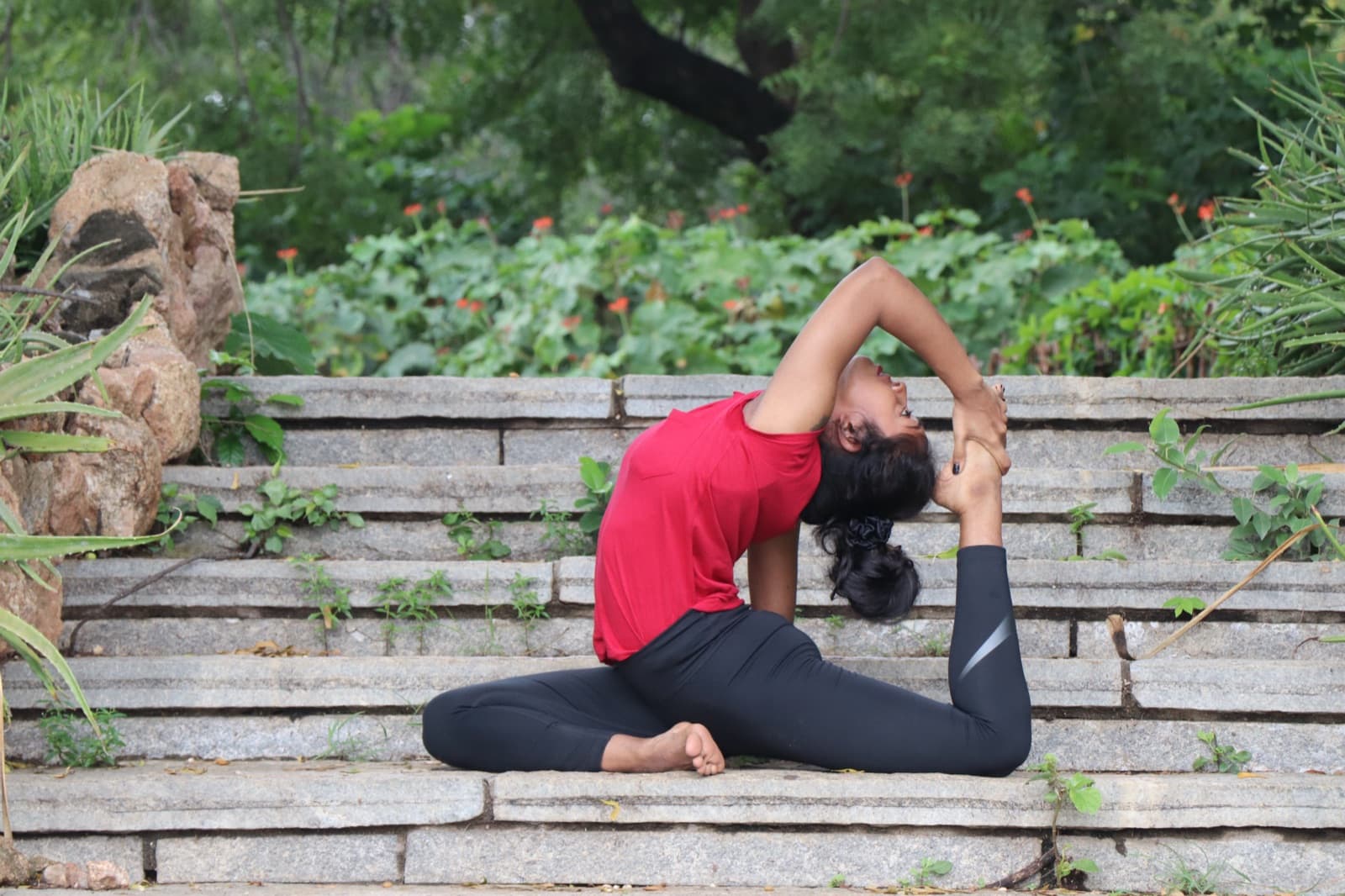 Daily Regular Yoga Classes