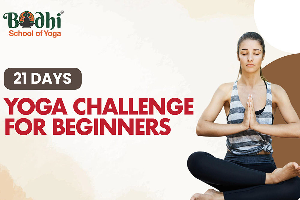 Yoga for Beginners Challenge